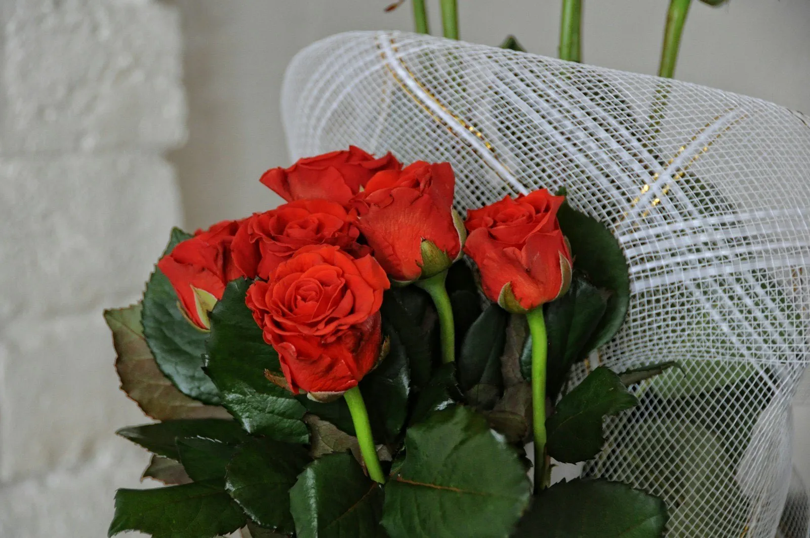 Ramo de rosas rojas con hojas verdes envuelto en malla blanca