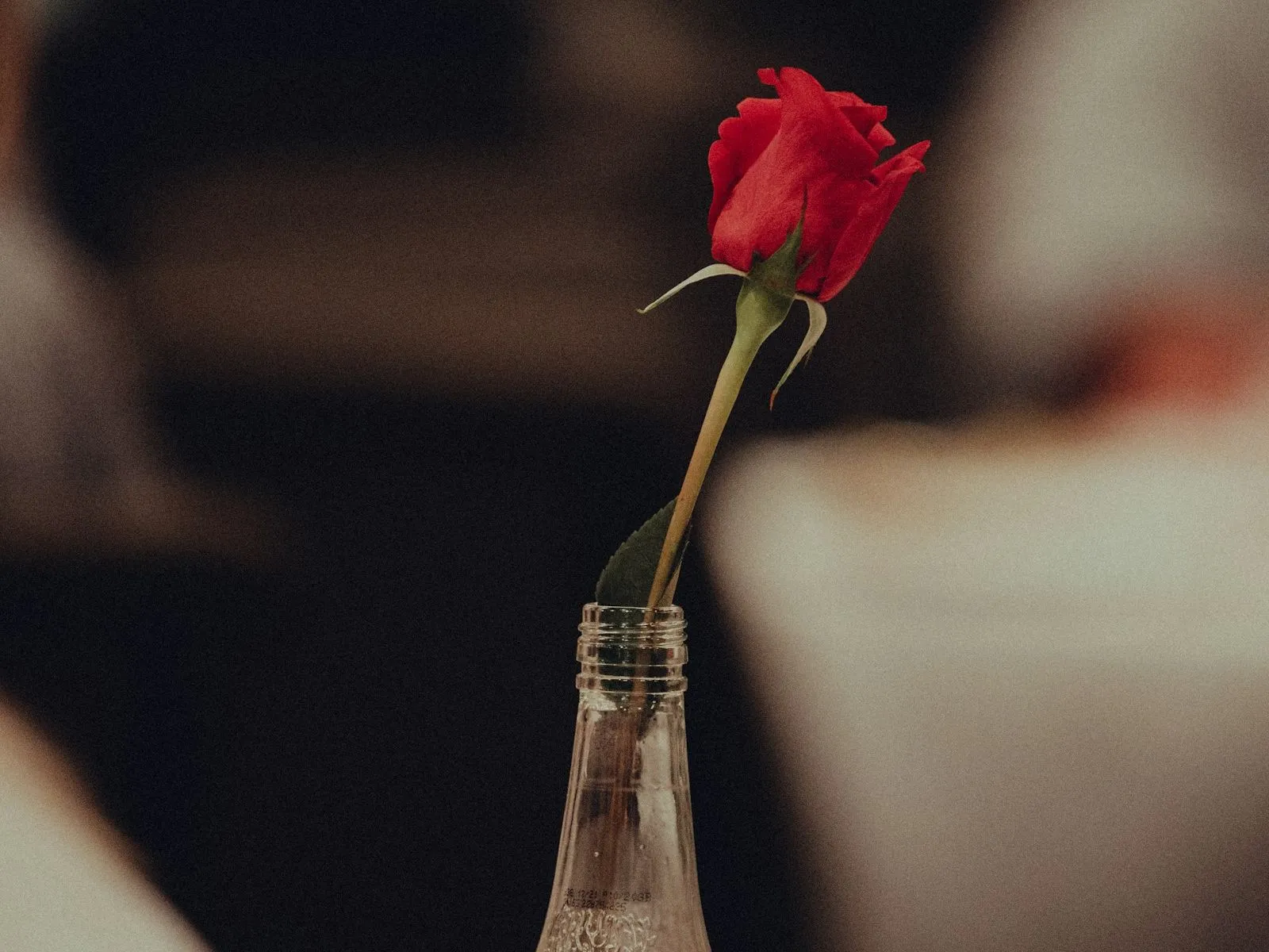 Una rosa roja sola en una botella de vidrio