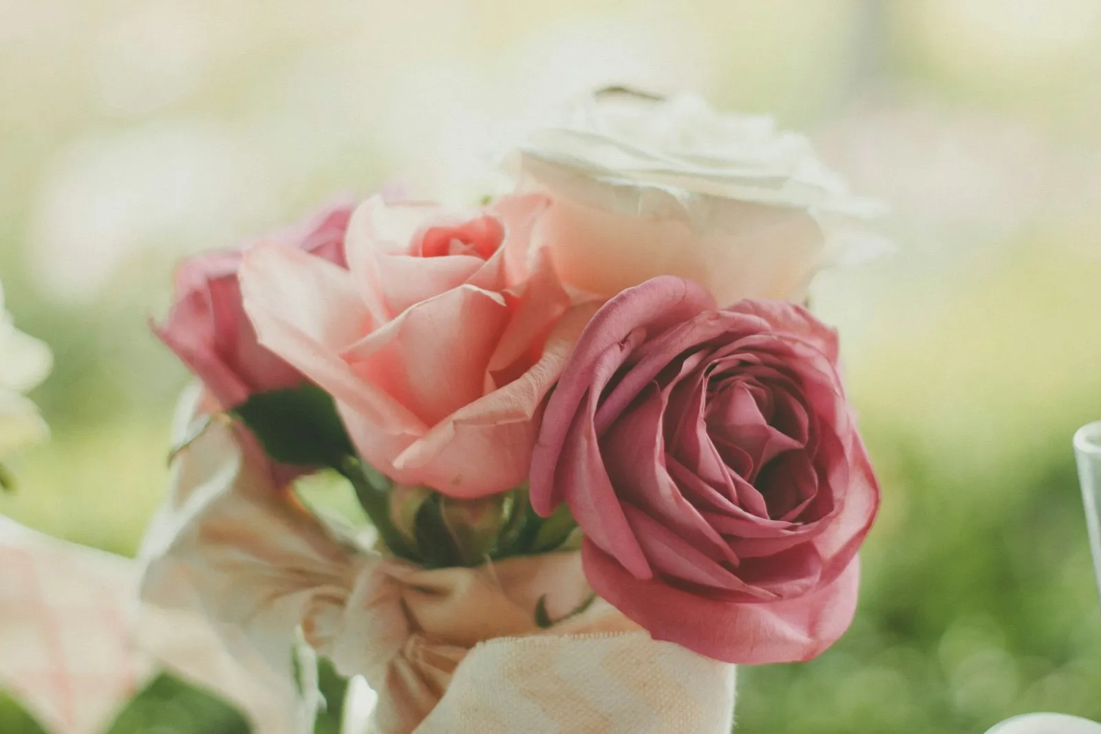 Rosas rosadas, durazno y blancas atadas con una cinta