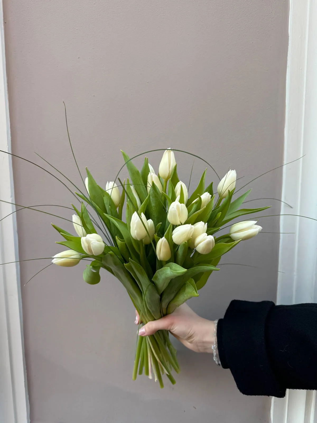 Ramo de tulipanes blancos con follaje en la mano, sobre una pared clara